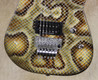 Charvel Pro Mod Warren DeMartini Signature Snake Guitar with FU Tone Upgrades
