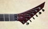 Jackson USA Custom Shop Limited Edition Mick Thomson Soloist