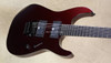 Jackson USA Custom Shop Limited Edition Mick Thomson Soloist