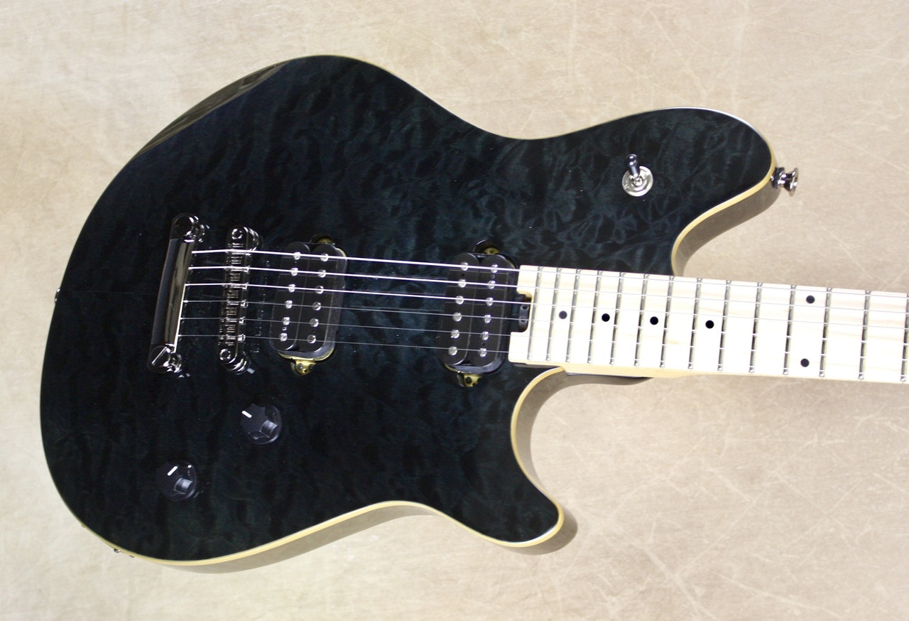 evh wolfgang standard hardtail