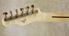 Fender Custom Shop Yuriy Shishkov Masterbuilt Front Row LTD Esquire Telecaster Guitar 