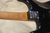 Fender Custom Shop LTD Black Roasted Dual-Mag Strat Relic Stratocaster Guitar