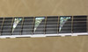 Jackson USA Custom Shop KV2 King V Zebra Guitar