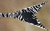 Jackson USA Custom Shop KV2 King V Zebra Guitar