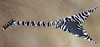 Jackson USA Custom Shop KV2 King V Zebra Guitar