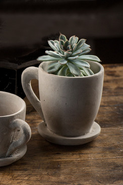 Concrete "Tea & Coffee" Cup Planter - Mothology.com