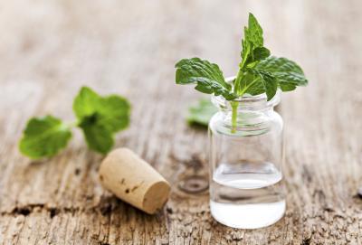 The risks, benefits, and uses of peppermint essential oil