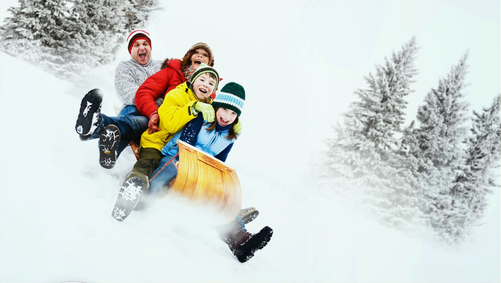 5 ideas for outdoor family outings on the cheap