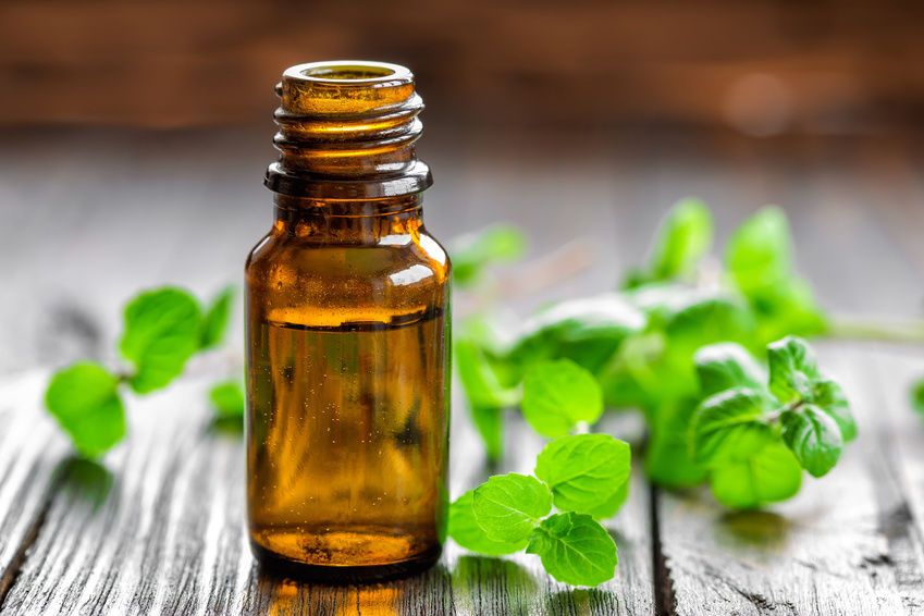 Wintergreen Essential Oil Remedies