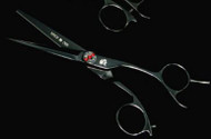 Kamisori Black Diamond Shear 6" 