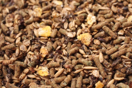 april-2020-king-brand-pic-final-bloom-complete-lamb-show-feed-close-up-of-feed-pellets-grain.jpg