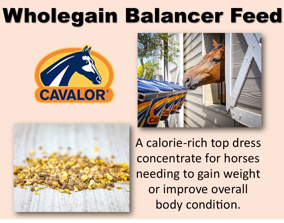 cavalor-wholegain-balancer-horse-feed-details.jpg