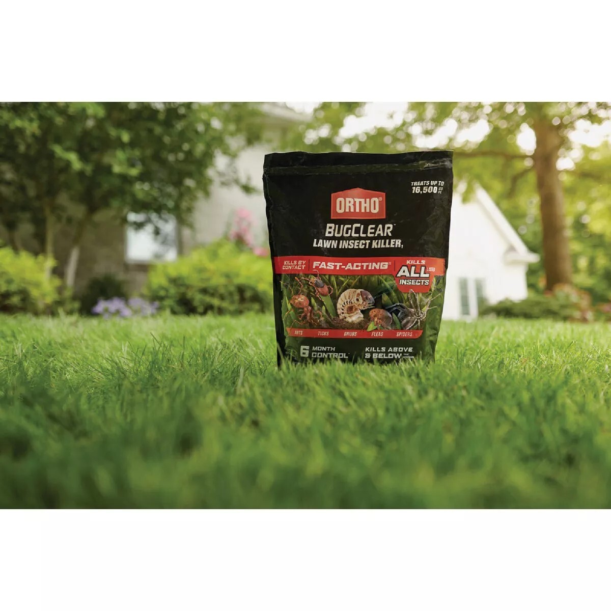 feb-2026-ortho-bugclear-details-10-lb-gd004372-12.49.jpg feb-2026-ortho-bugclear-details-10-lb-gd004372-12.49.jpg