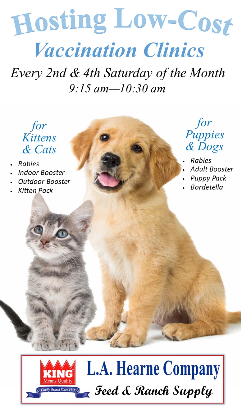 Low income pet hot sale vaccinations near me