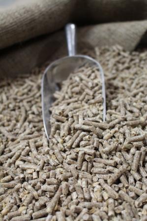 king-freedom-livestock-equineweb-pellets-close-up.jpg