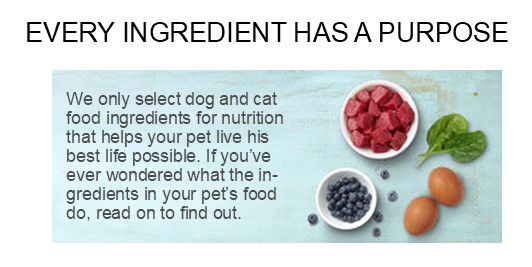 october-2020-purina-friskies-cat-food-quote-and-pic-...every-ingredient-has-a-purpose....jpg