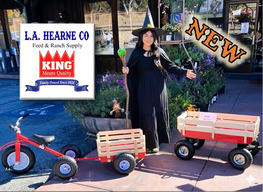 october-2025-eddie-betsy-valley-tricycles-edited.jpg october-2025-eddie-betsy-valley-tricycles-edited.jpg