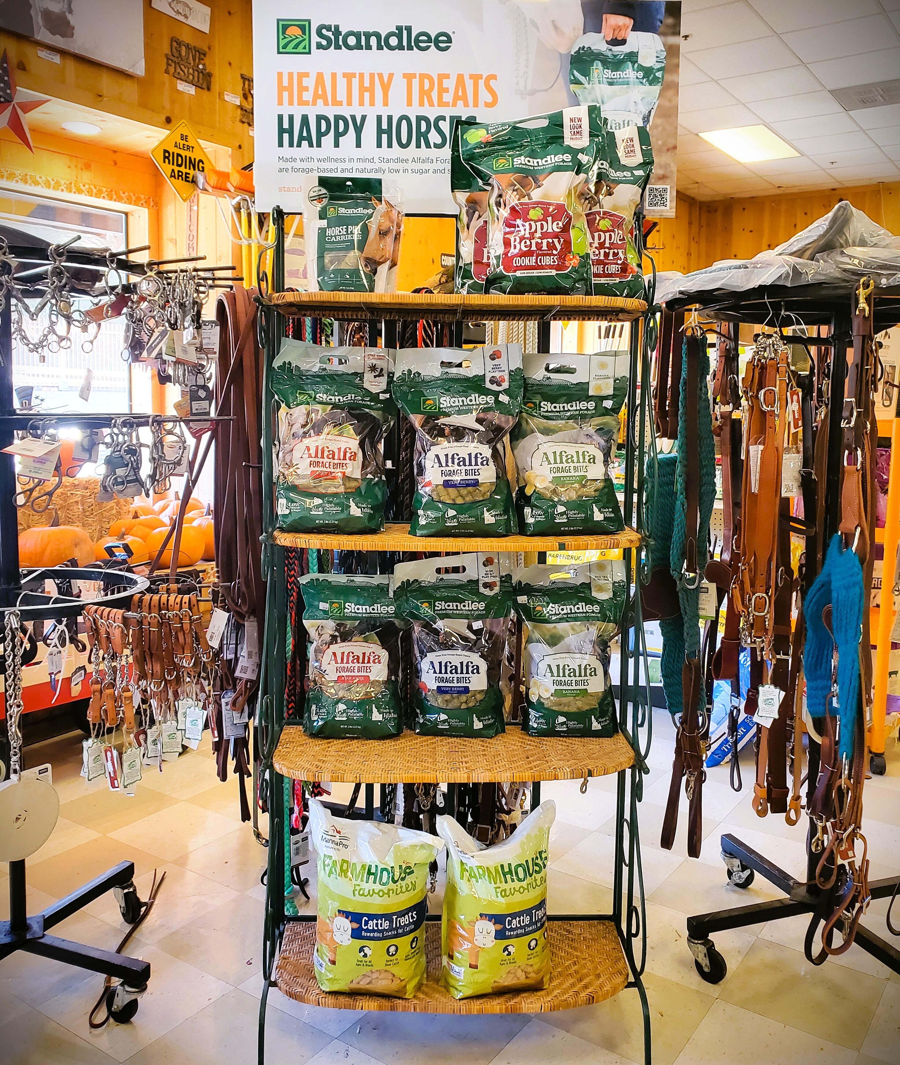 october-2025-new-standlee-healthy-horse-treats-amanda-.jpg