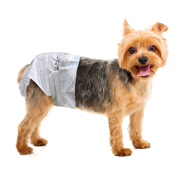 simple-solution-toy-dog-in-diaper-details.jpg simple-solution-toy-dog-in-diaper-details.jpg