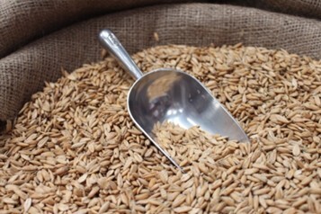 steam-rolled-or-crimped-oats-lightly-rolled-not-groats-which-r-flat.jpg