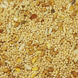 western-delight-volker-seed-factory-closeup-quail-and-dove-40-lb..jpg