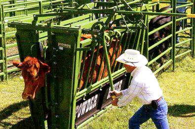 Powder River Livestock Handling Equipment XL Manual Squeeze Chute With ...