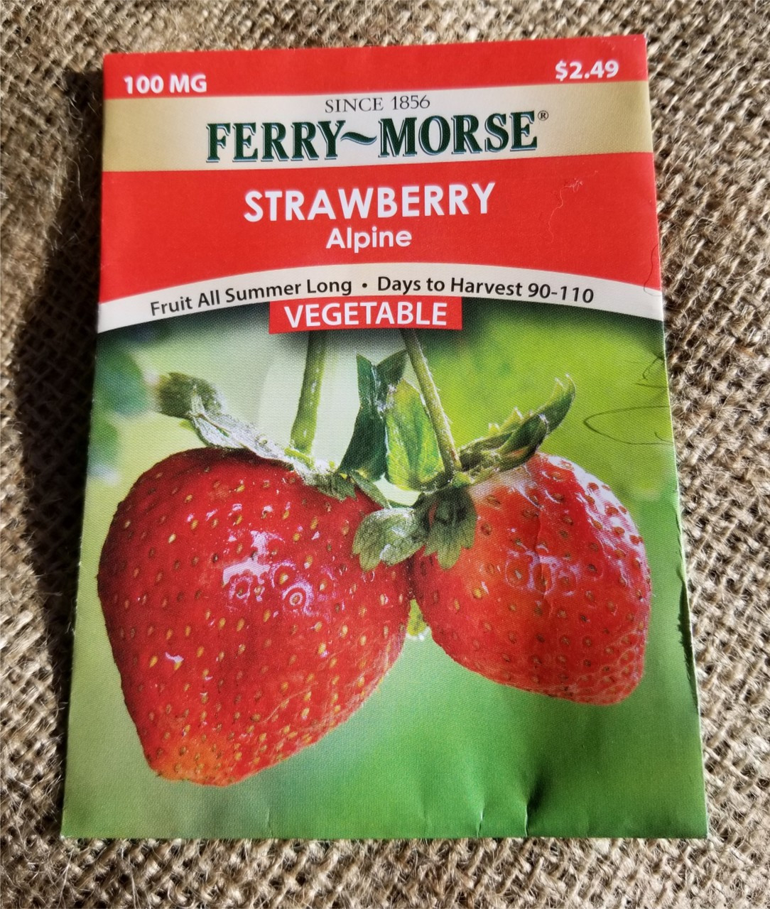 12/21 Ferry Morse Details about   Strawberry Alpine Sow Easy Vegetable Seeds
