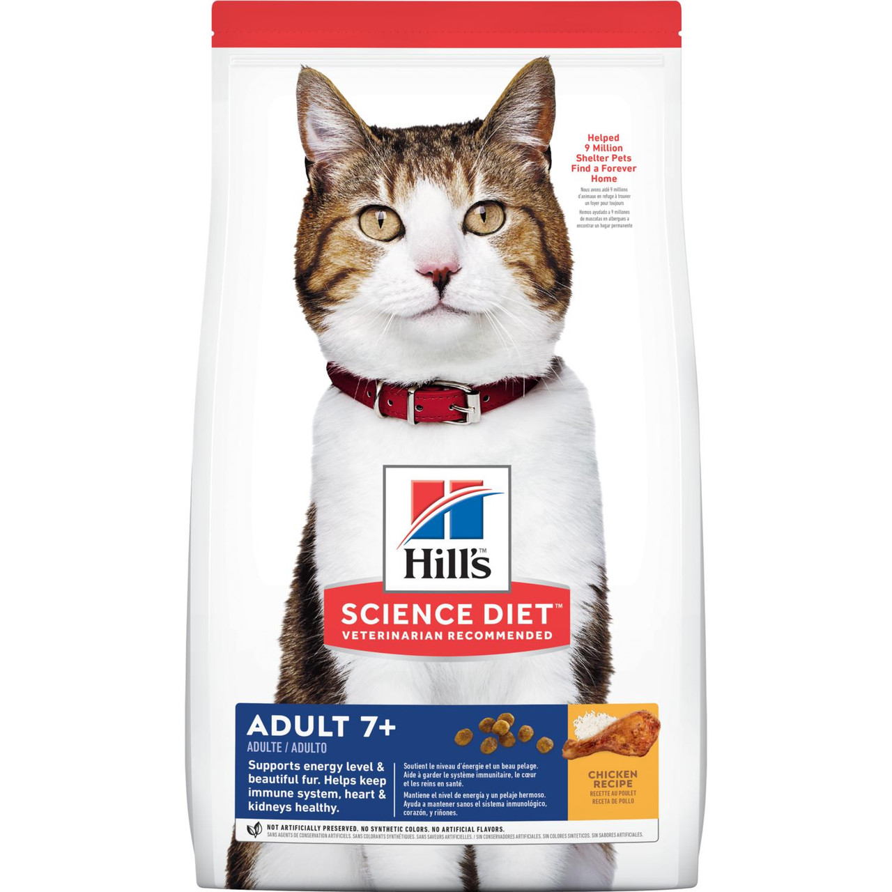 hill cat
