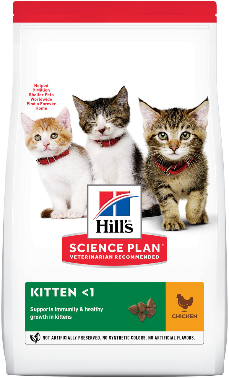 science diet kitten food