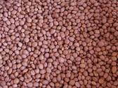 Pinquito Beans, 10 lb grown & packaged in the USA