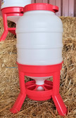 During September SAVE on all Poultry Feeders & Waterers, Feeder, Professional Farm Grade Little Giant Extra Large Plastic Dome Poultry Feeder, Holds 60 lbs. of feed