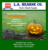 Happy September! Pumpkins will be arriving to the feed stores (in store) Mid-September.