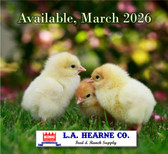 Baby Poultry Available March 2026