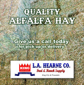 Baled Alfalfa Hay (Available for pick-up or delivery, reach out and give us a call today)