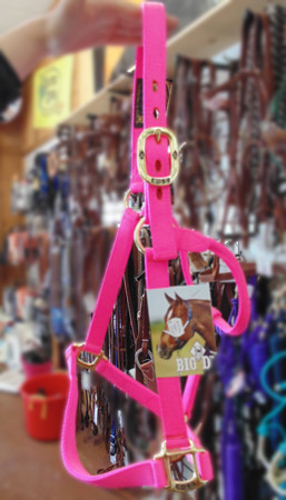 Bigd tack discount