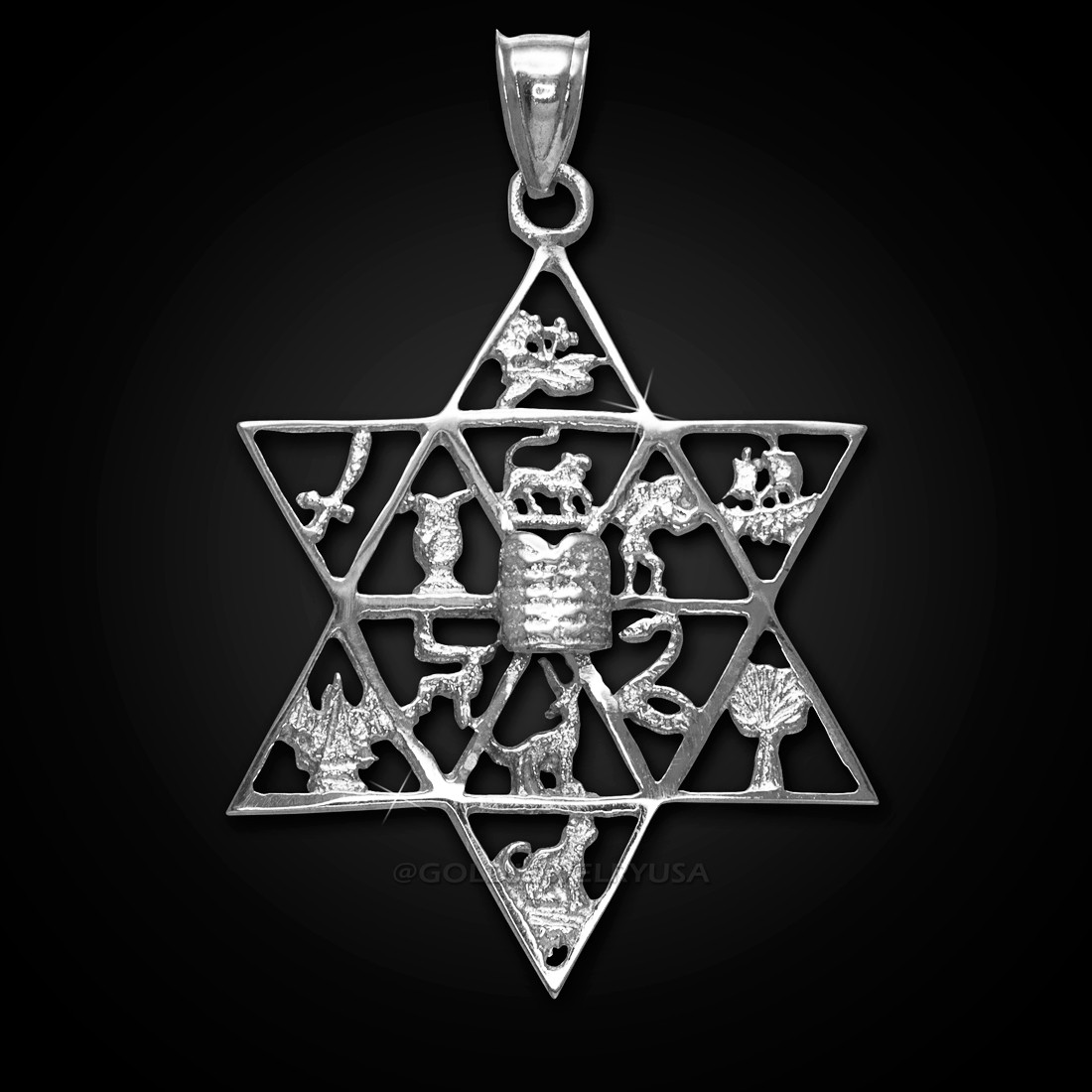 Buy High Polish 10k White Gold Jewish Charm Star Diamond Cross of David  Pendant Necklace, 16