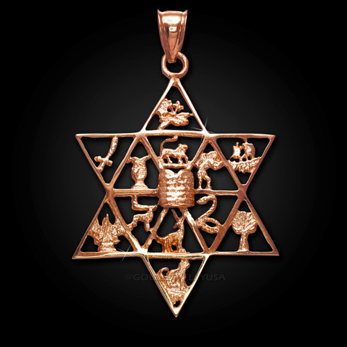 Rose Gold Star of David 12 Tribes of Israel Pendant