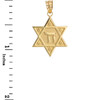 Gold Star of David Chai Pendant