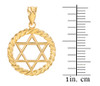 Gold Star of David Pendant