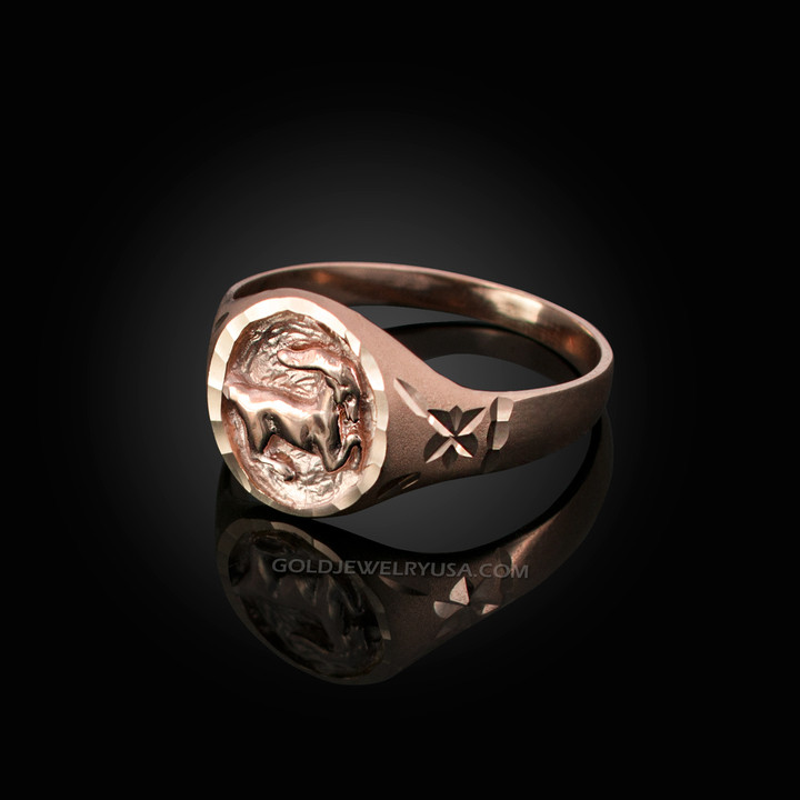 Zodiac Signet Ring, Capricorn Silver Ring, Gemini Ring, Gold Signet Ring, Astrology  Ring, 21st Birthday Gift Her, Birthday Gifts, XW30 - Etsy