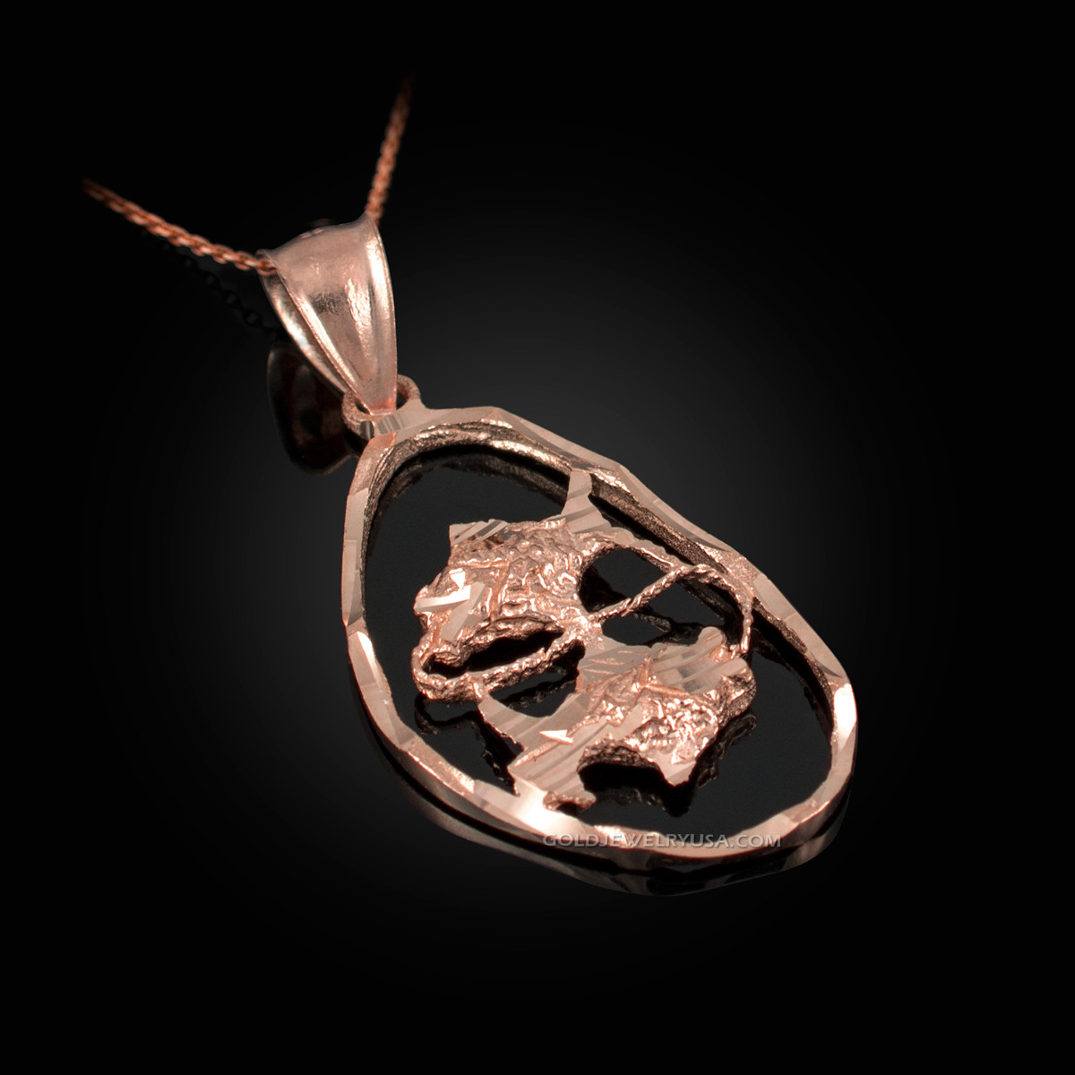 Rose gold clearance pisces necklace