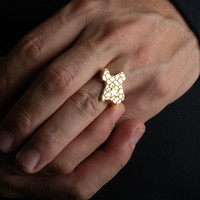 Gold Texas Lone Star State Nugget Ring