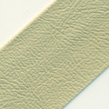 Ivory Vinyl Binding
