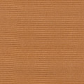 Salmon 4627