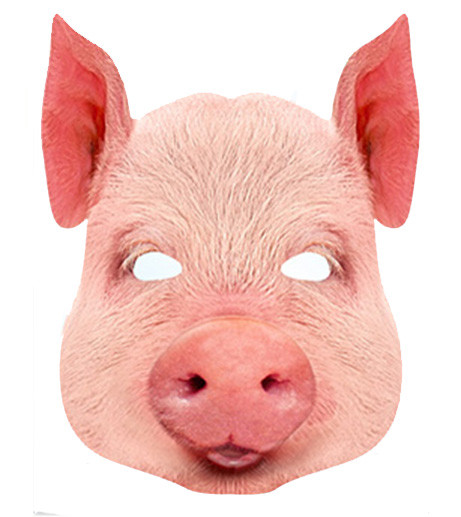 Pig Animal Card Party Face Mask. In Stock Now with Free UK Delivery ...