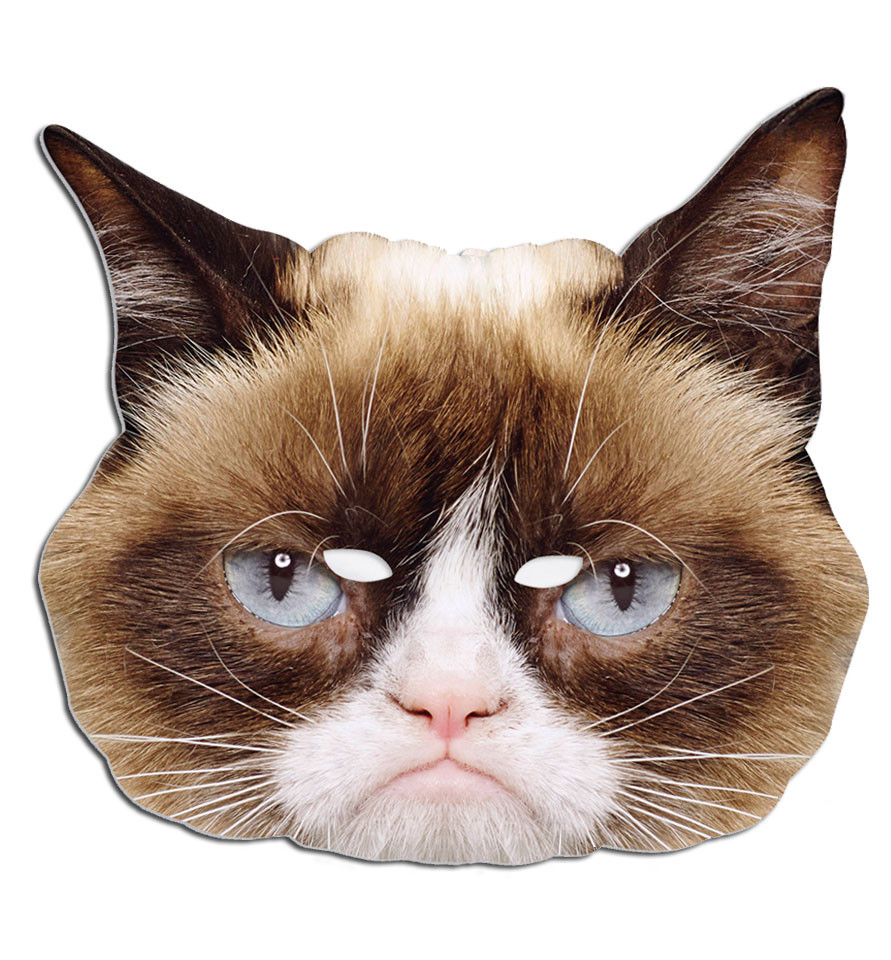 Grumpy Cat  Single Card Party Face  Mask In Stock Now with 