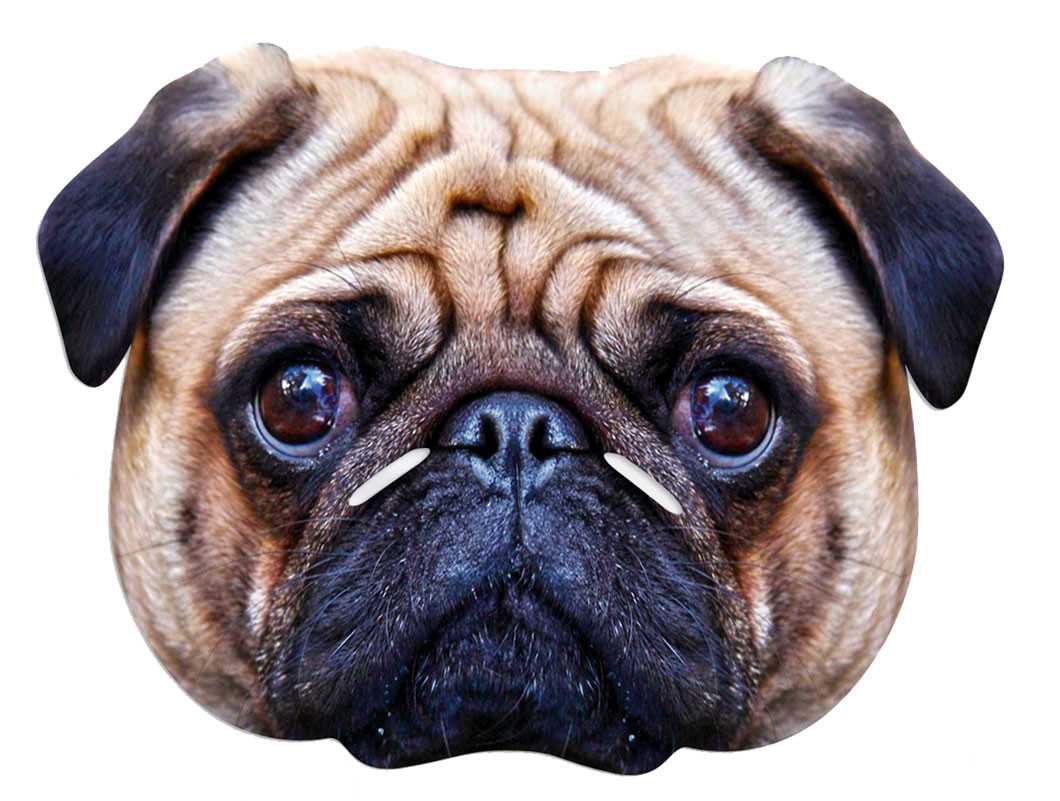 pug mask pug single card mask in stock now with free uk delivery worldwide pug mask pug single card mask in stock now with free uk delivery worldwide