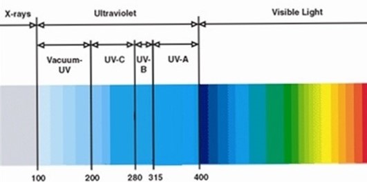 uvspectrum.jpg