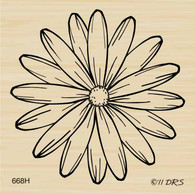 Medium Daisy Bloom - 668H