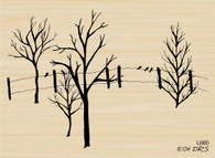 Winter Trees - 680L